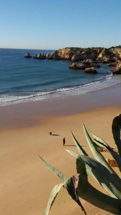 Apartamentos Praia Da Rocha Alex&Mila Vista Mar Portimao Ngoại thất bức ảnh